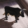 FIIs invest Rs 10K cr in 4 weeks: See which stocks are vying attention