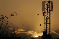 Panel recommends extra surcharge for mobile operators