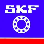 skf india