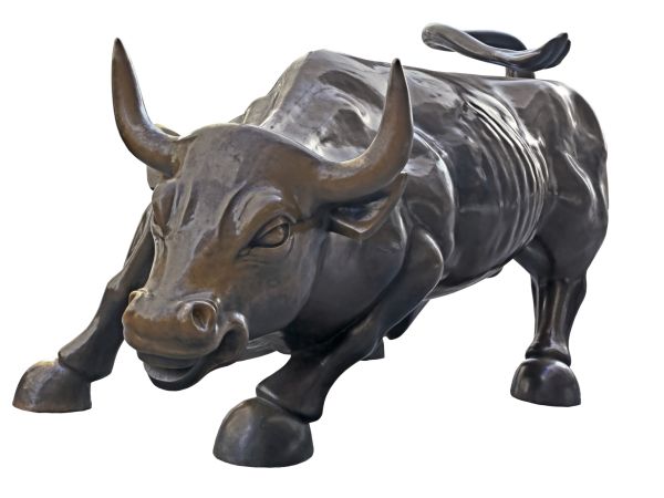 Bull Sensex